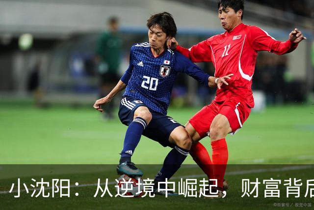 小沈阳：从逆境中崛起，财富背后的辉煌故事