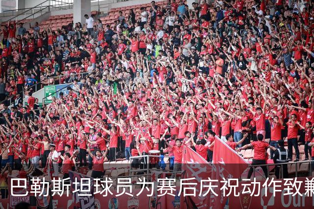 巴勒斯坦球员为赛后庆祝动作致歉
